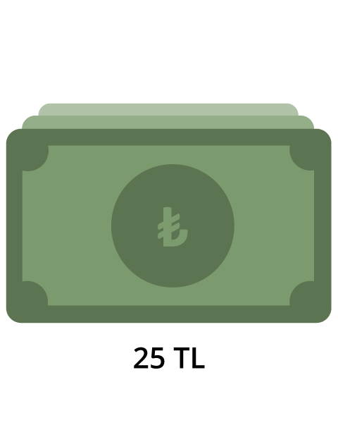 25 TL Para Transferi